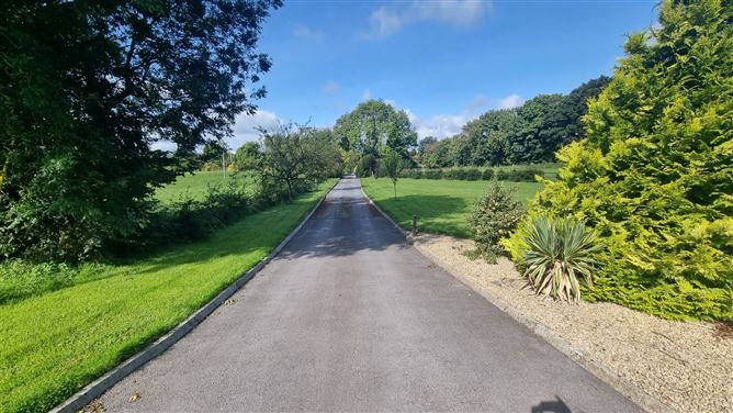 Roebuck, Mountnugent, Co. Cavan