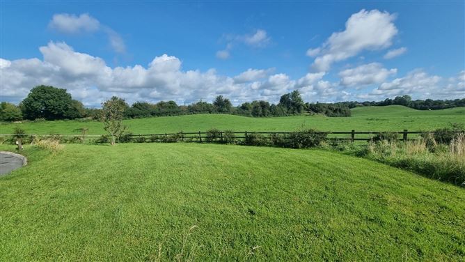 Roebuck, Mountnugent, Co. Cavan