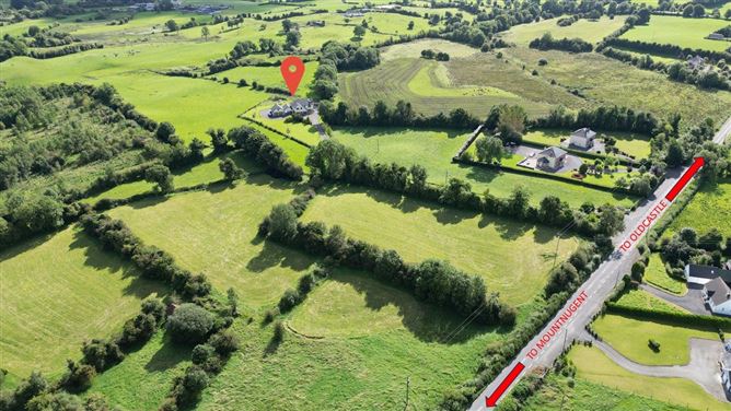 Roebuck, Mountnugent, Co. Cavan