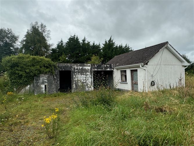 Srah, Loughrea, Galway