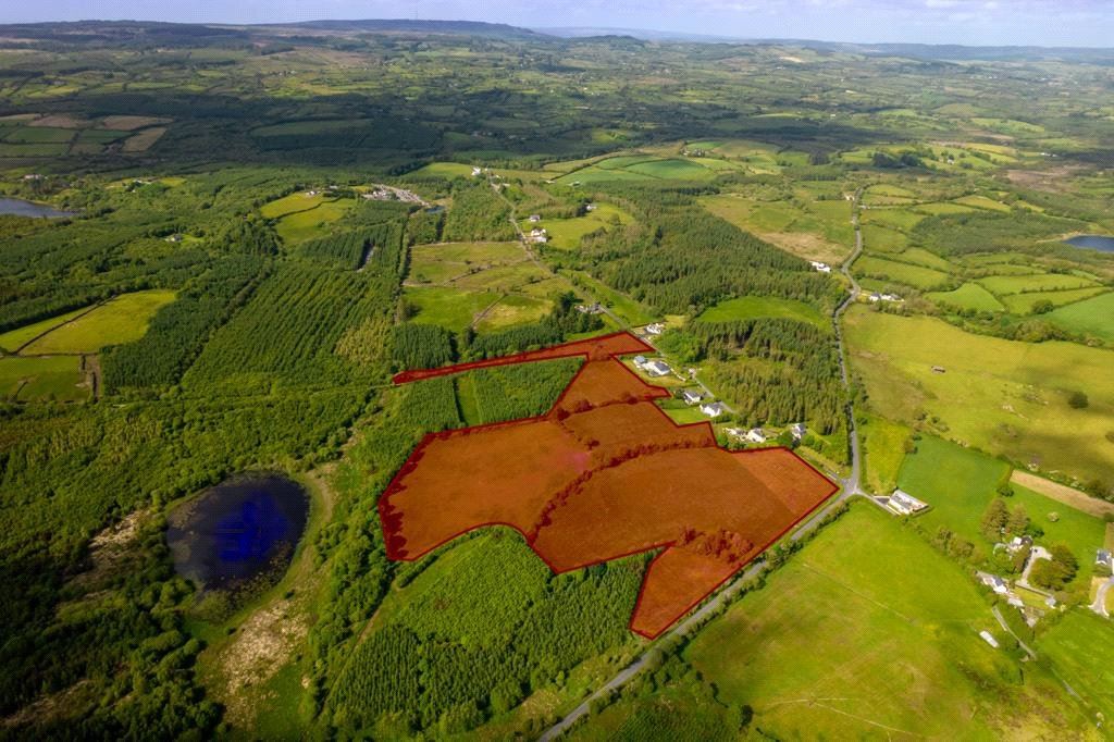 6.55 Hectares Of Land, Cragroe, Tulla, Co. Clare Sherry FitzGerald