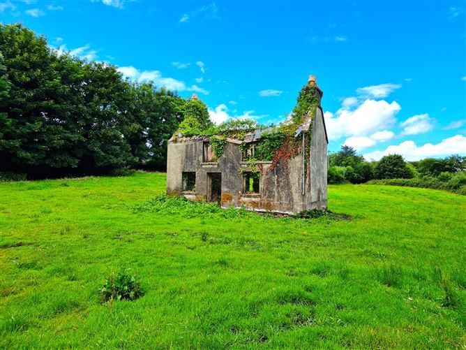 Tooromin, Bohola, Co. Mayo Sherry FitzGerald Hanley 4716109