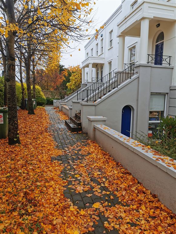 Apartment 8, Annadale, Churchtown, Dublin 16