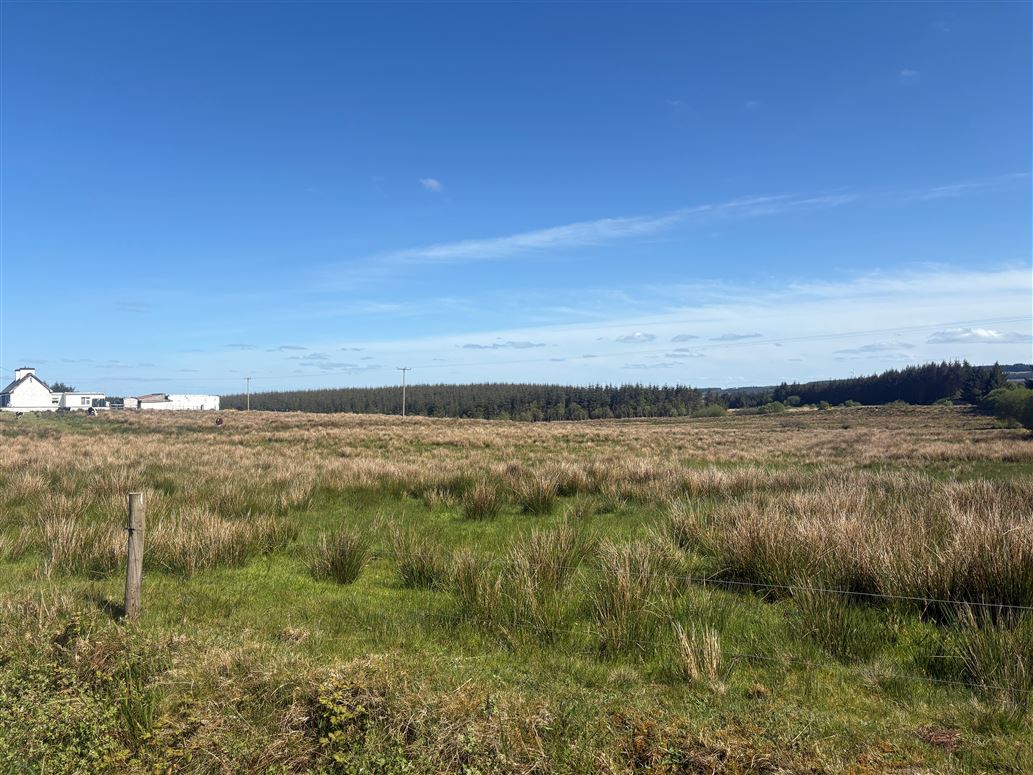 Slievealoughaun, Connolly, Clare