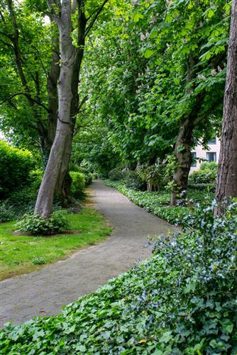 25 Onyx, The Grange Brewery Road, Stillorgan, Co. Dublin