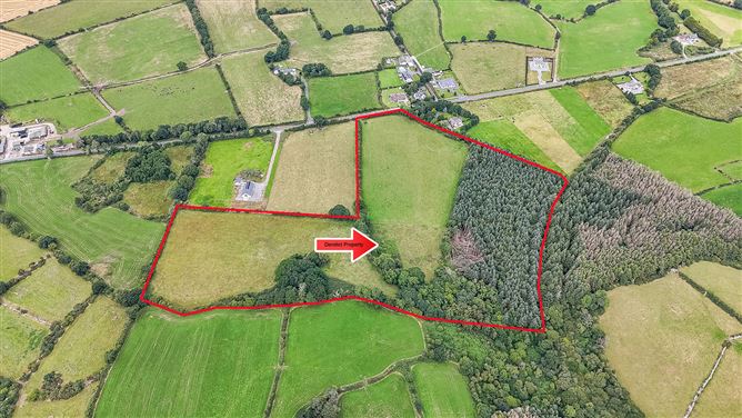 Prime Land at Ballyhegan, Graiguenamanagh, Kilkenny, Co. Kilkenny