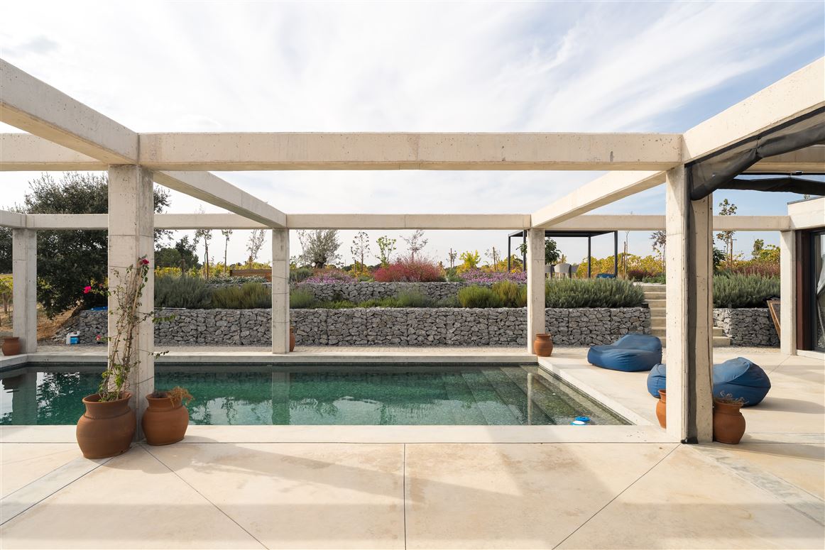 Almond Sun,Montemor-o-Novo,Évora,Portugal