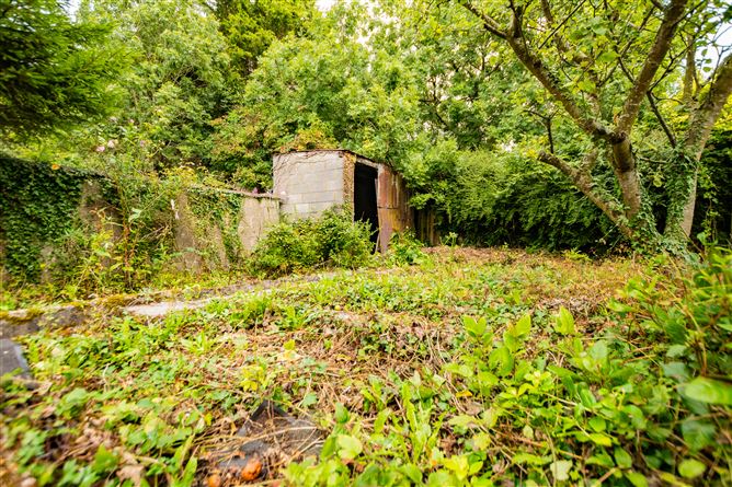 Photo 69 of 69 — 7 Belvedere Terrace, Mullingar, Mullingar, Westmeath