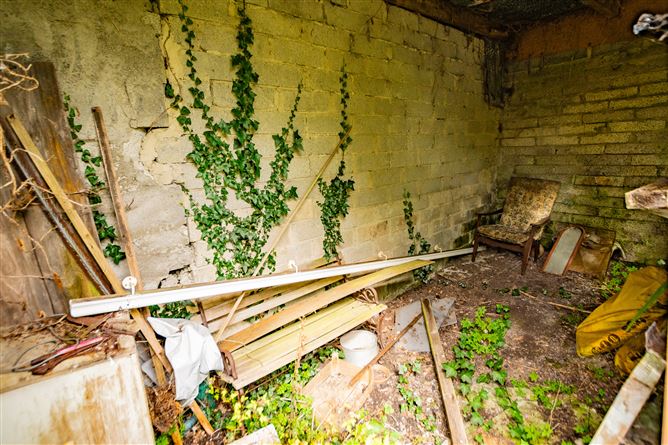 Photo 67 of 69 — 7 Belvedere Terrace, Mullingar, Mullingar, Westmeath