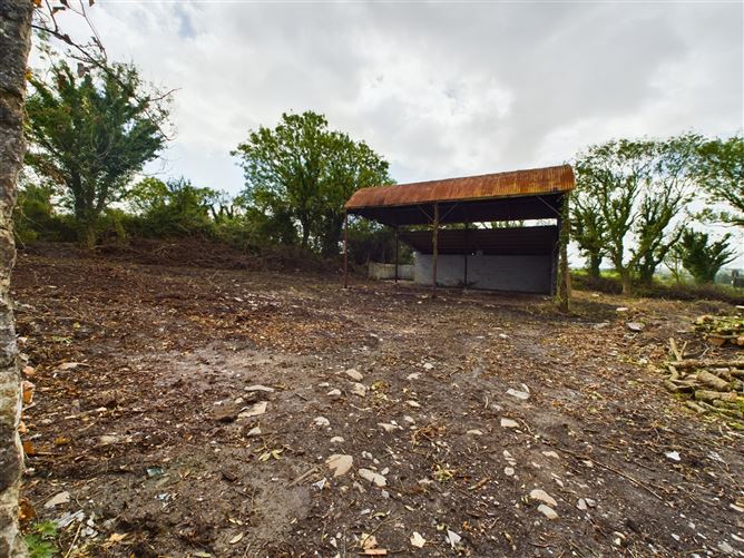 Drumdigus, Kilmurry McMahon, Kilrush, Co. Clare