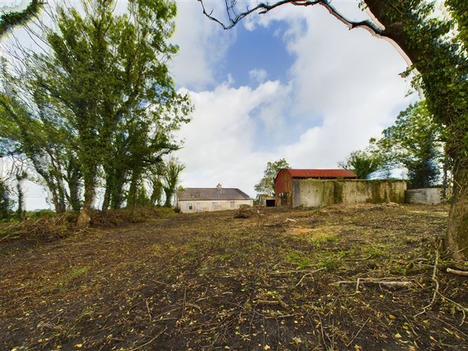 Drumdigus, Kilmurry McMahon, Kilrush, Co. Clare