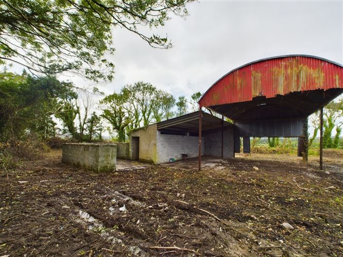 Drumdigus, Kilmurry McMahon, Kilrush, Co. Clare