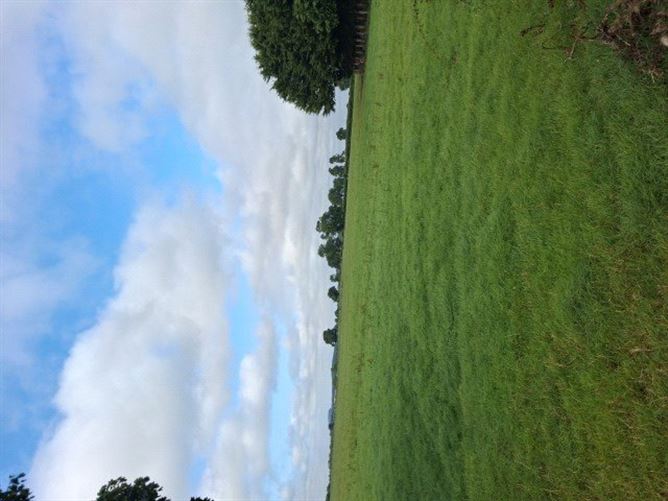 Lands Downings South, Prosperous, Co. Kildare