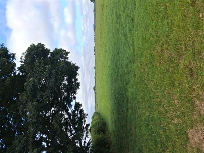 Lands Downings South, Prosperous, Co. Kildare