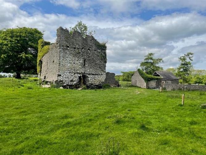 Land c. 68 Acres / 27.51 HA., Clonmore, Edenderry, Offaly