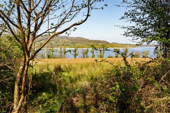 Lecarrow, Ballinafad, Co. Sligo