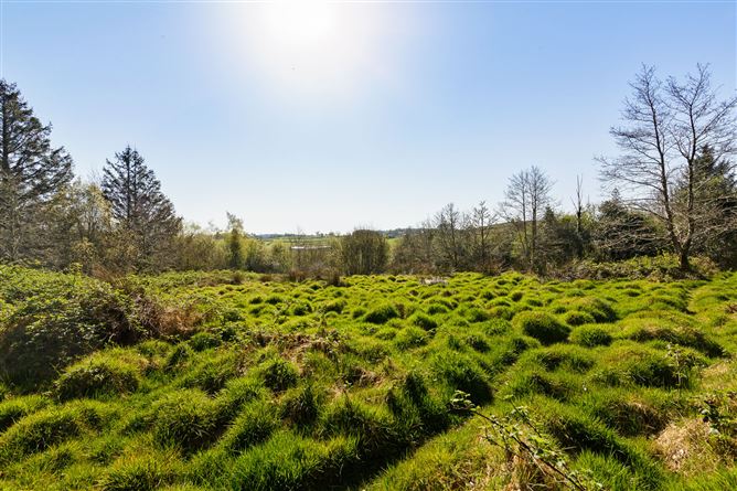 Lecarrow, Ballinafad, Co. Sligo