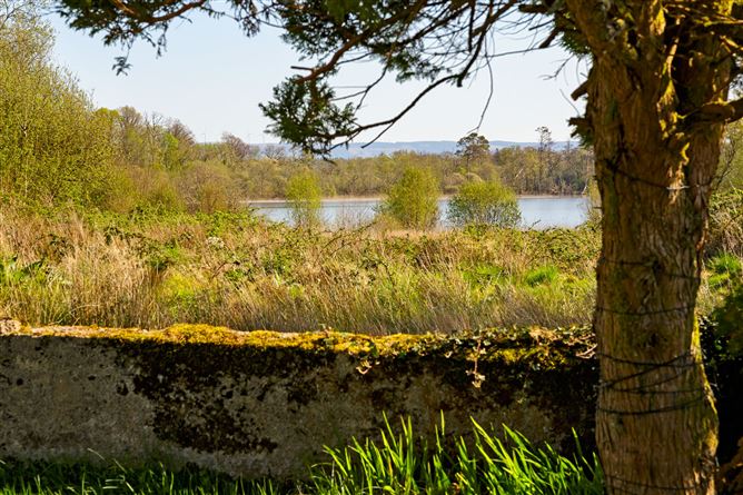 Lecarrow, Ballinafad, Co. Sligo