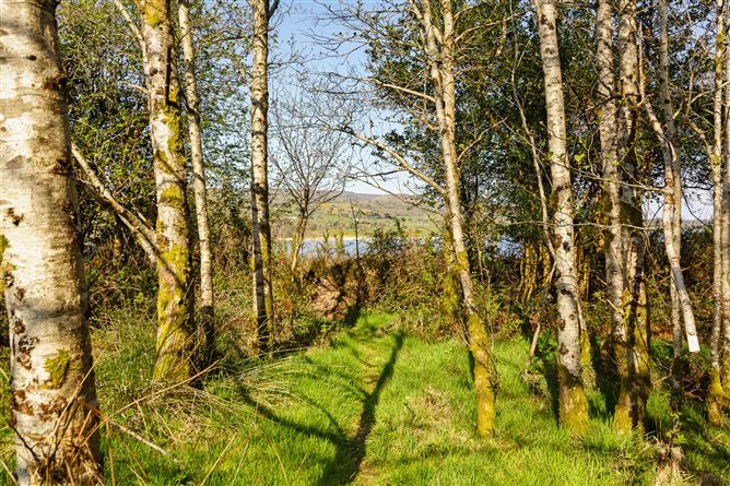 Lecarrow, Ballinafad, Co. Sligo