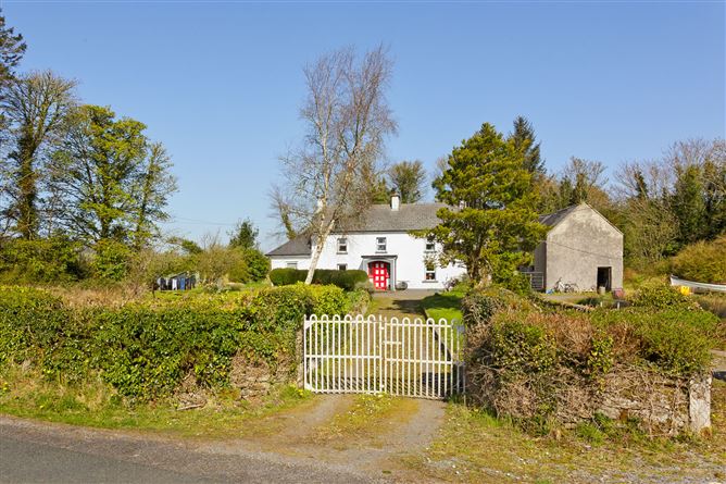 Lecarrow, Ballinafad, Co. Sligo
