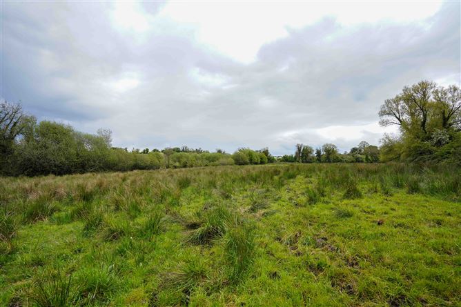 Ballyhoe, Drumconrath, Meath