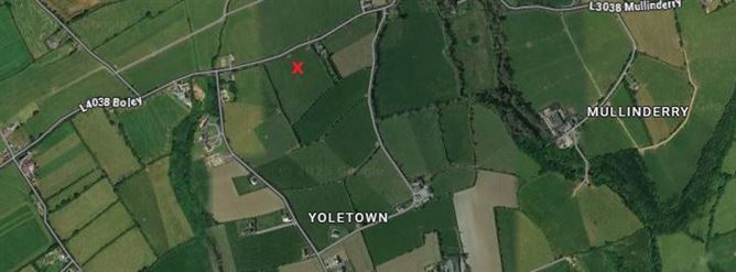 Boher Boy, Yoletown, Ballycullane, Wexford