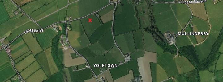 Boher Boy, Yoletown, Ballycullane, Wexford