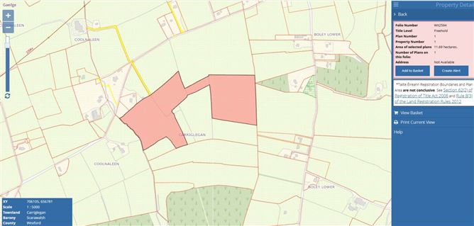 Carriglegan (C. 45.5 Acres), Enniscorthy, County Wexford