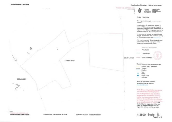 Carriglegan (C. 45.5 Acres), Enniscorthy, County Wexford