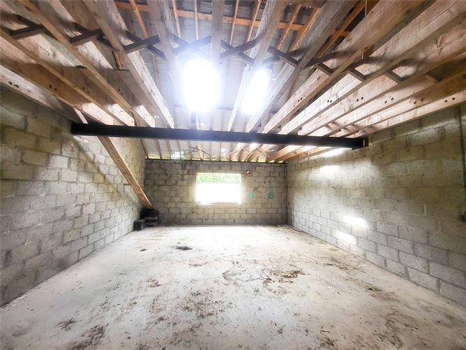 Ballintlea Upper, Timahoe, Co. Laois