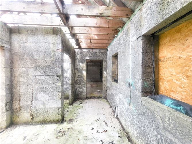 Ballintlea Upper, Timahoe, Co. Laois