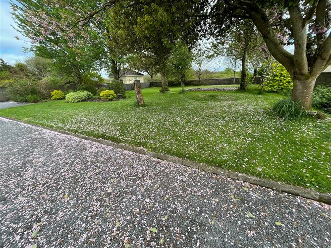 Lydican, Oranmore, Galway