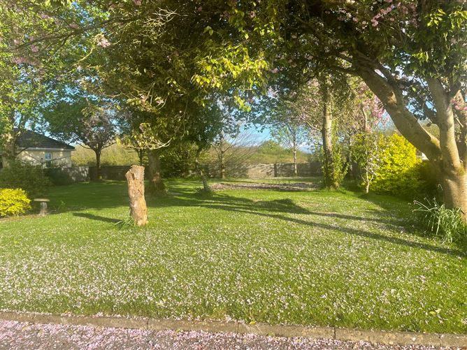 Lydican, Oranmore, Galway