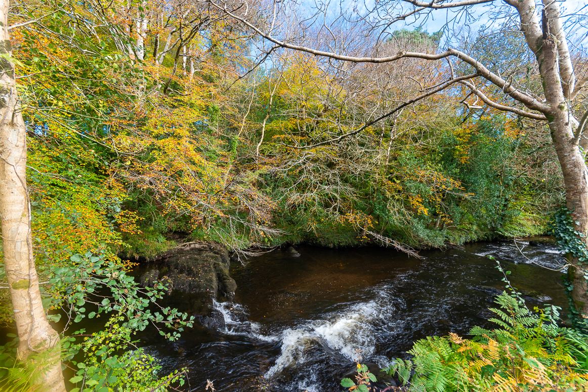 5 Finnihy Woods, Kenmare, Co. Kerry 5 Finnihy Woods, Kenmare, Co. Kerry