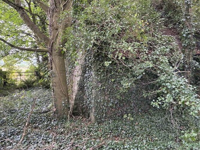 Knockainey Hill, Hospital, Limerick