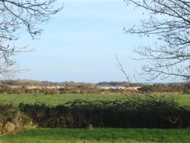 Leagaun, Moycullen, Co. Galway