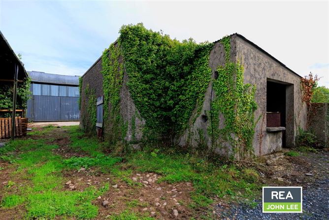 Ballykinalee, Newport, Tipperary