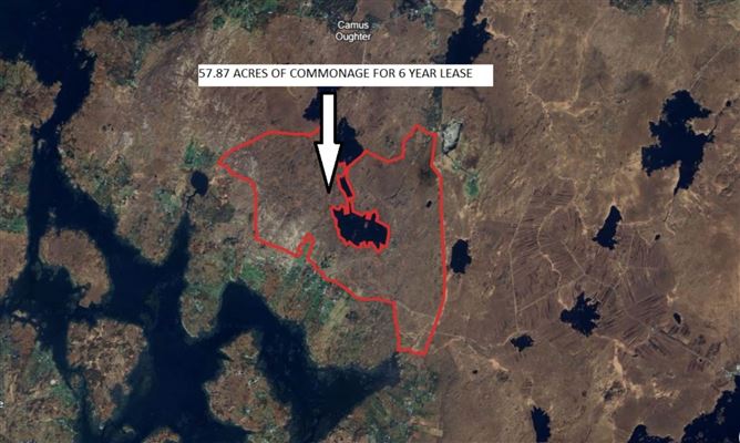 Commonage Camus Eighter, Casla, County Galway
