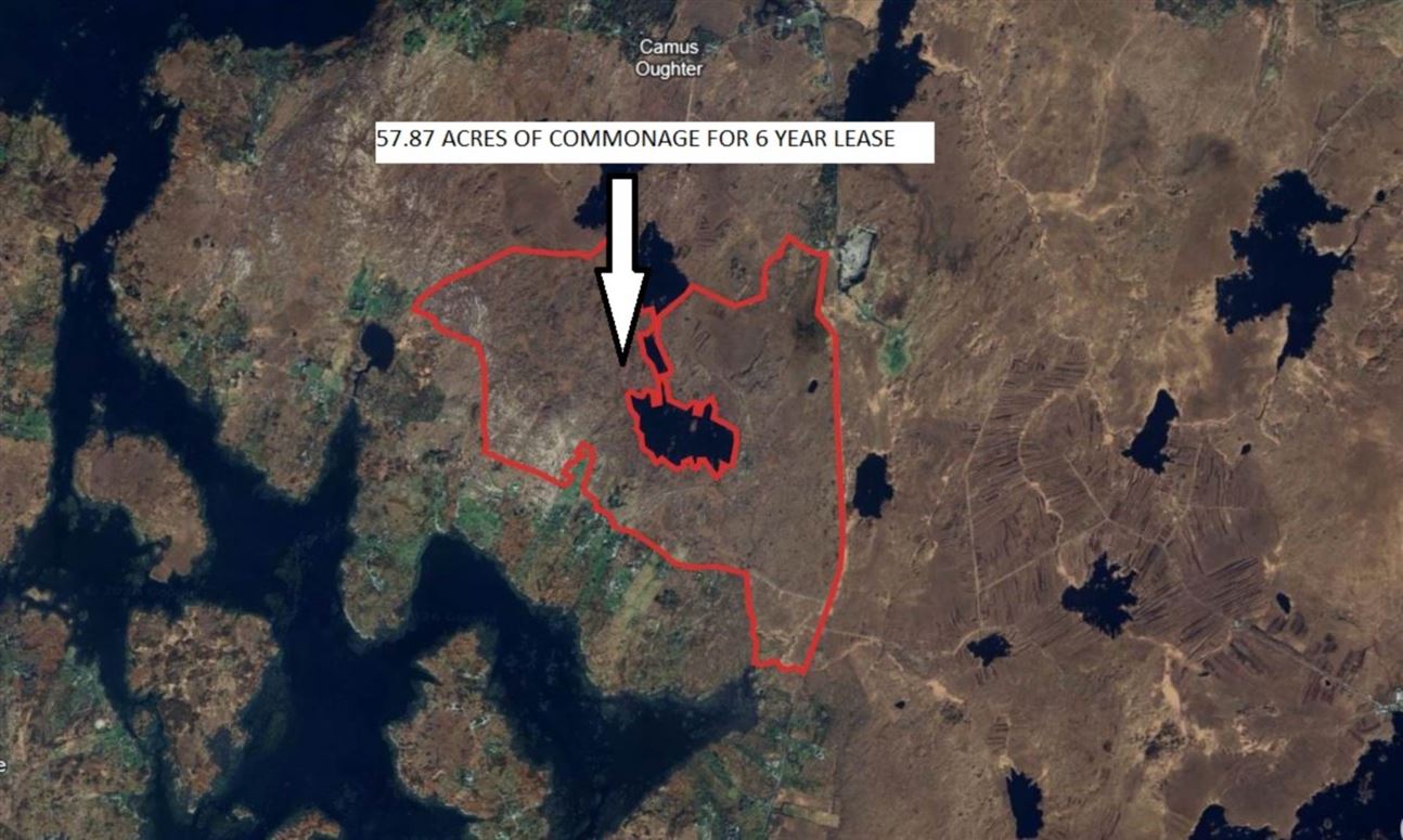 Commonage Camus Eighter, Casla, County Galway