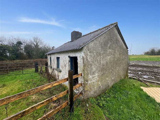 Cottage On C. 7.1 Acres, Battlemount, Narraghmore, Kildare
