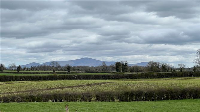 Huntingtown, Gowran, Co. Kilkenny