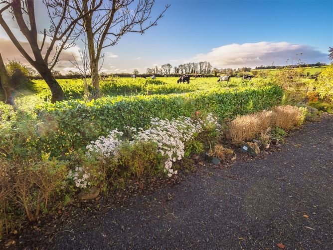 Lavally, Clerihan, Clonmel, Co. Tipperary