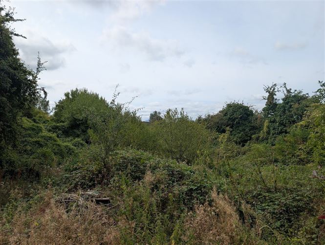 Photo 13 of 13 — Islandbawn, Nenagh, Co. Tipperary