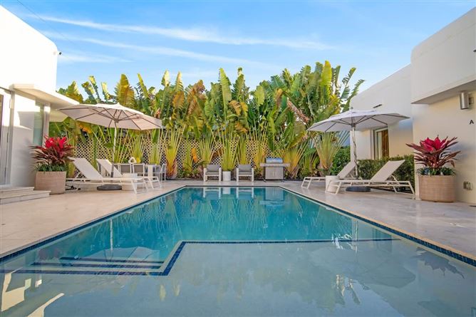 Photo 6 of 10 — Palm,Miami Beach,Florida,USA