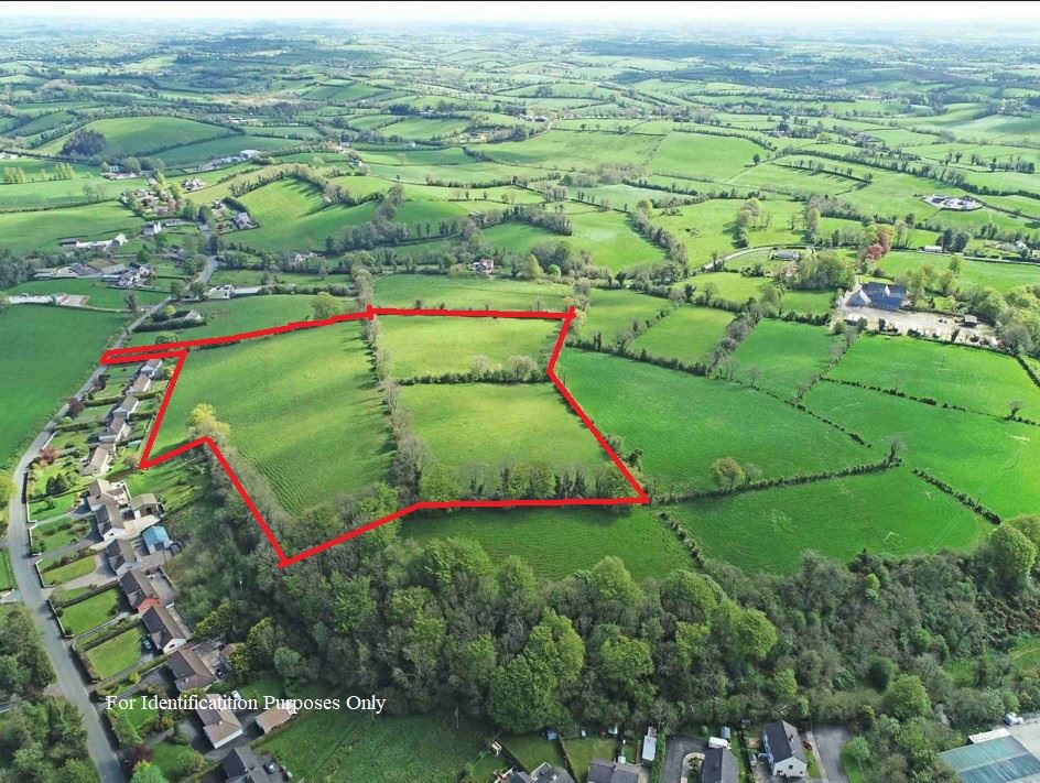 Cappog, Ballinode, Monaghan Wilsons Auctions 4728219 MyHome.ie