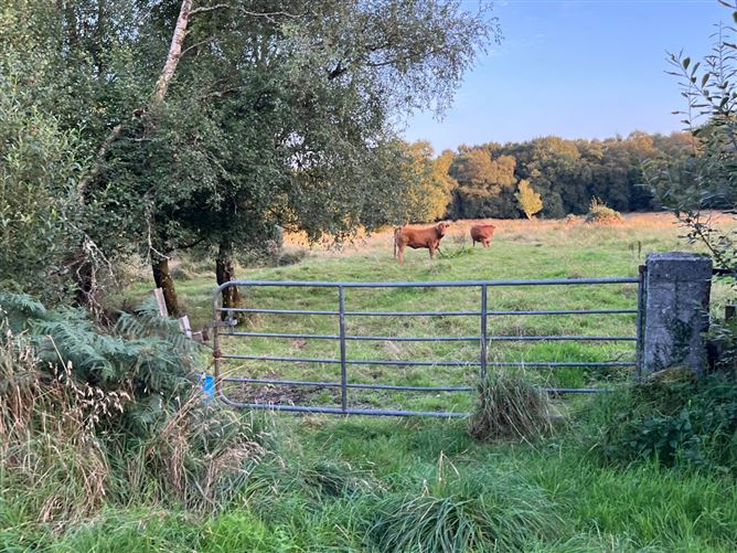 Lemonfield, Oughterard, Co. Galway