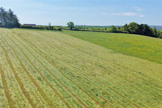 LOT 2: 9.9 Acres Tanavalla, Listowel, Co. Kerry