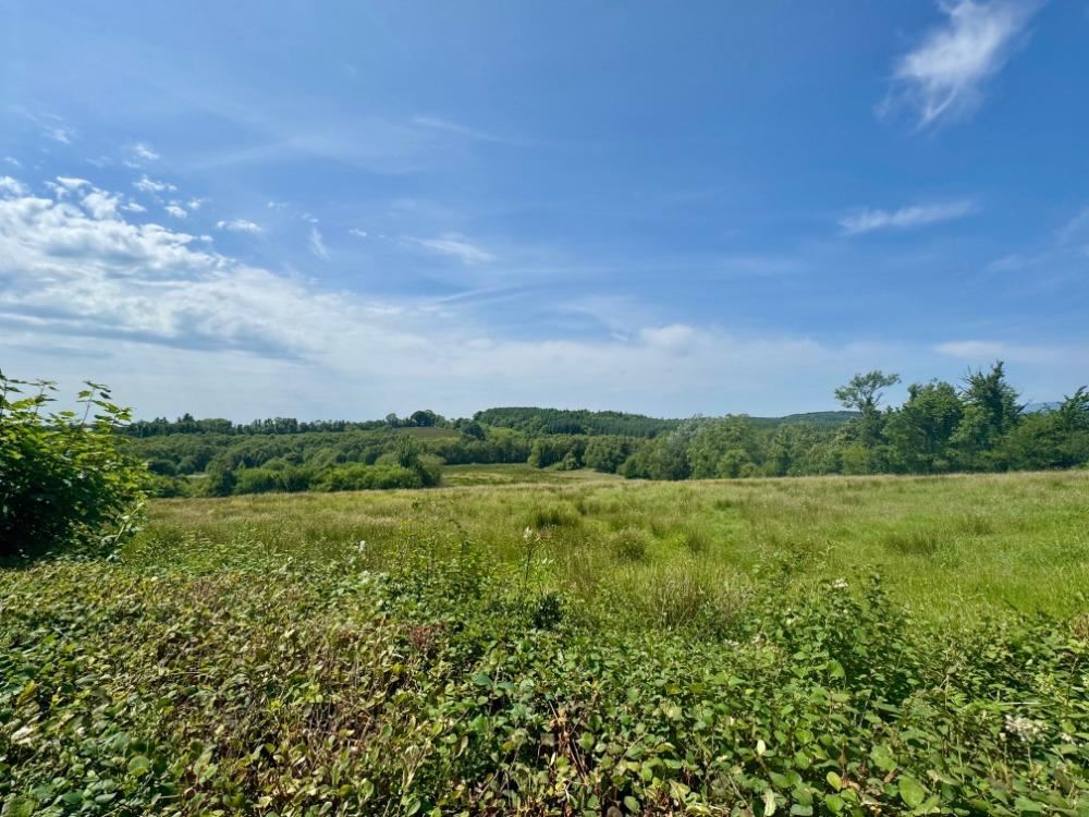 Drumharkan Glebe, Cloone, Co. Leitrim