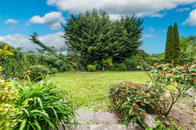 https://photos-a.propertyimages.ie/media/9/1/4/4999419/021440b8-75a9-4a1a-beda-3a04cc381b02_l.jpg