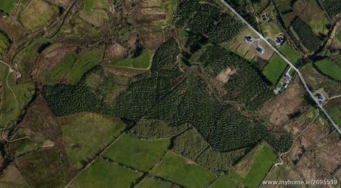 Reardnogy, Rearcross, Newport, Tipperary